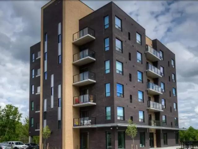 For Rent 1 Bedroom Apartment Kitchener ON DS100976289