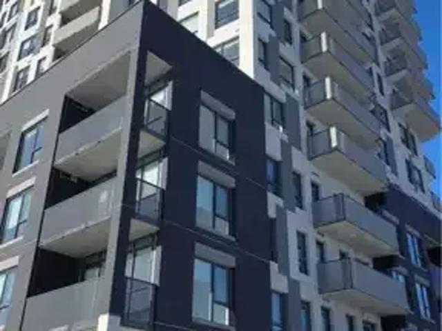 For Rent 1 Bedroom Apartment Kitchener ON DS101773628