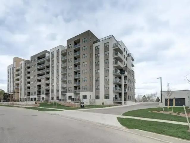 For Rent 1 Bedroom Apartment Kitchener ON DS102052452