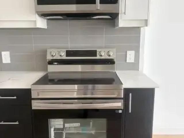For Rent 1 Bedroom Apartment Kitchener ON DS102113839