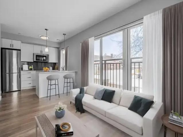 For Rent 1 Bedroom Apartment Kitchener ON DS102883118