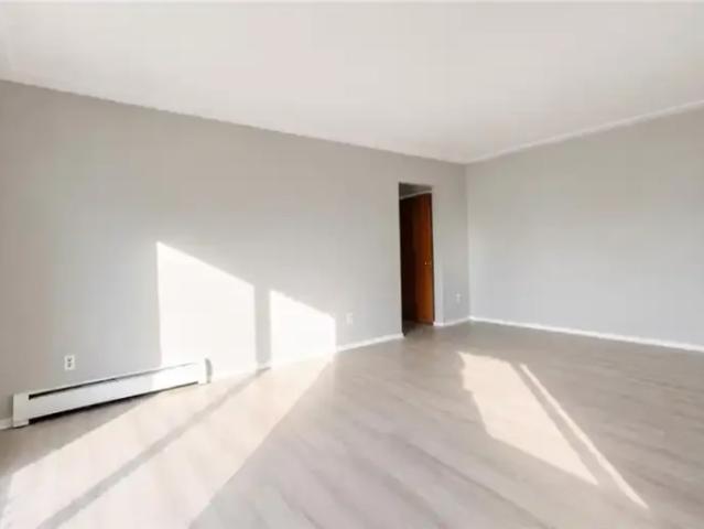 For Rent 1 Bedroom Apartment Kitchener ON DS103011961