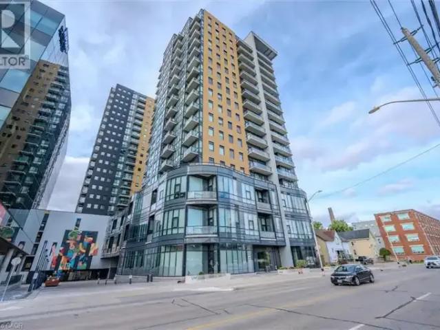 For Rent 1 Bedroom Apartment Kitchener ON DS103179184
