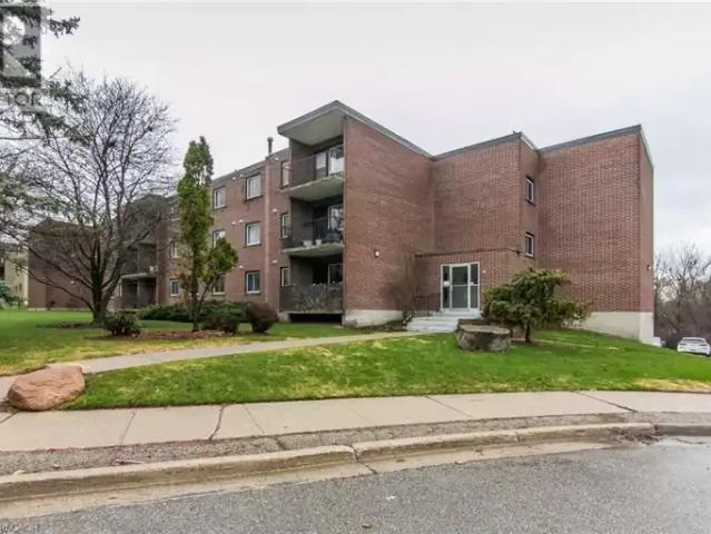 For Rent 1 Bedroom Apartment Kitchener ON DS103119091