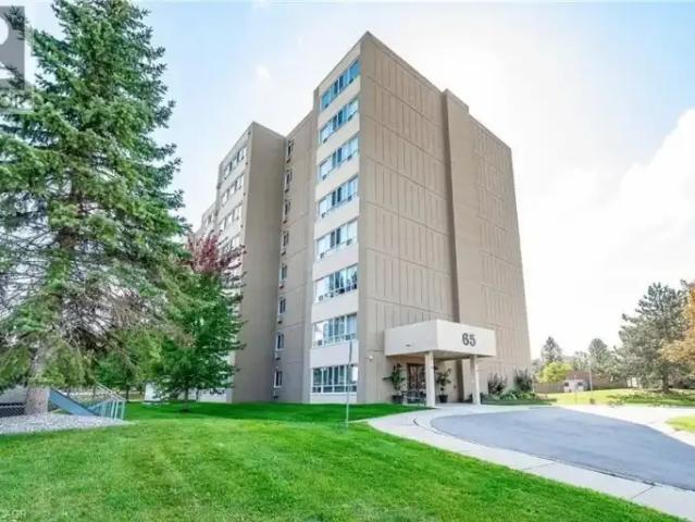 For Rent 1 Bedroom Apartment Kitchener ON DS103355375