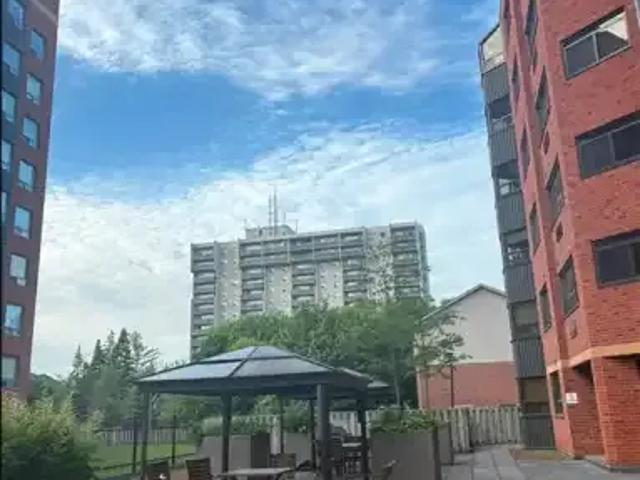 For Rent 1 Bedroom Apartment Kitchener ON DS103487527