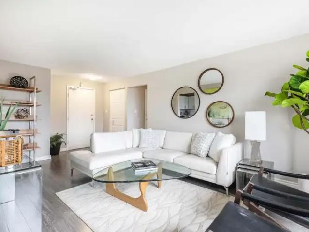For Rent 1 Bedroom Apartment Kitchener ON DS103423871