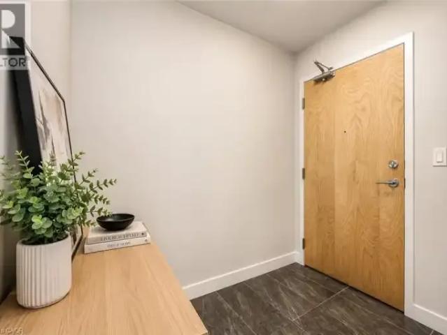 For Rent 1 Bedroom Apartment Kitchener ON DS103611958
