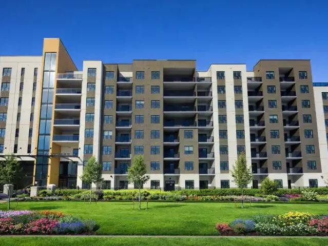 For Rent 1 Bedroom Apartment Kitchener ON DS104224000