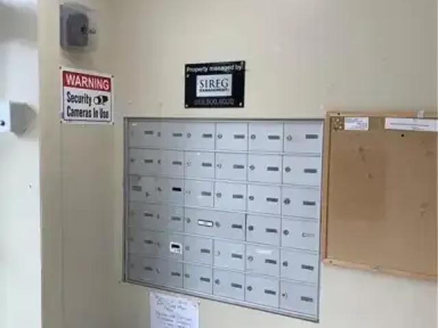 For Rent 1 Bedroom Apartment Kitchener ON DS104957674