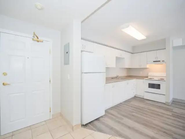 For Rent 1 Bedroom Apartment Kitchener ON DS104984803
