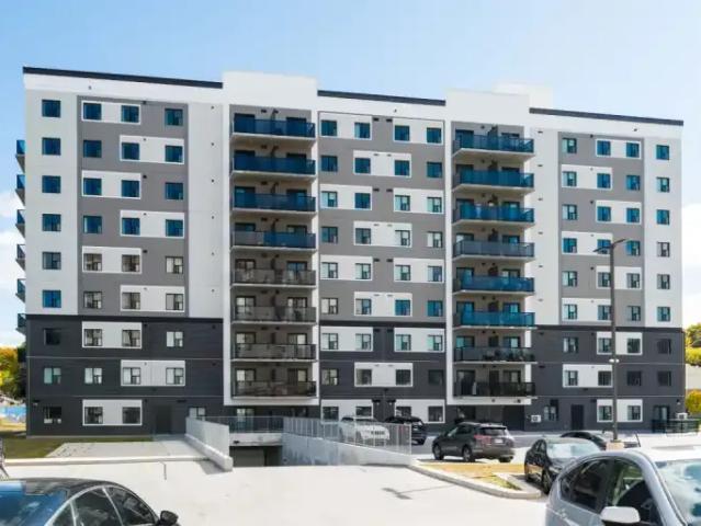 For Rent 1 Bedroom Apartment Kitchener ON DS105071404