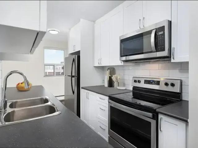 For Rent 1 Bedroom Apartment Kitchener ON DS96586816