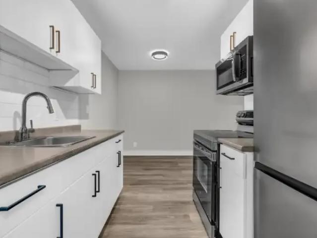 For Rent 1 Bedroom Apartment Langley BC DLS102951199