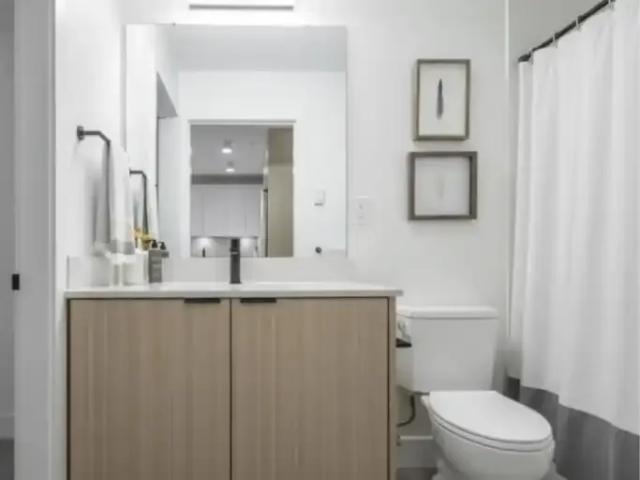 For Rent 1 Bedroom Apartment Langley BC DS99505965