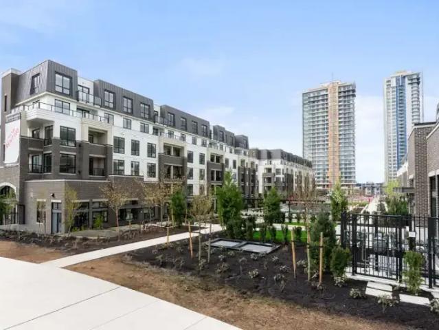 For Rent 1 Bedroom Apartment Langley BC DS99792982