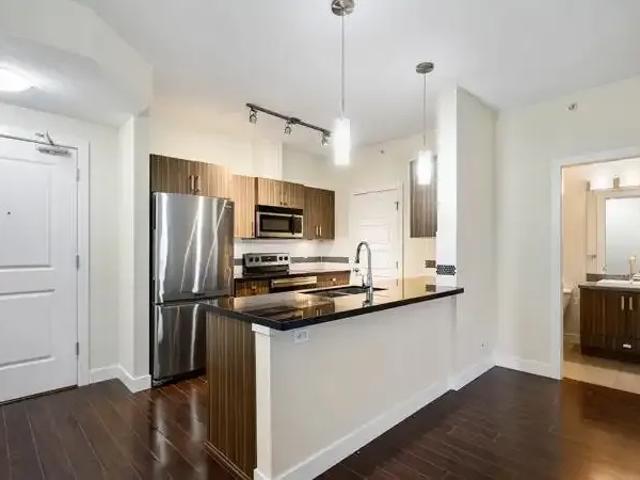 For Rent 1 Bedroom Apartment Langley BC DS100249284