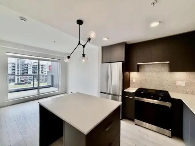 For Rent 1 Bedroom Apartment Langley BC DS103920584