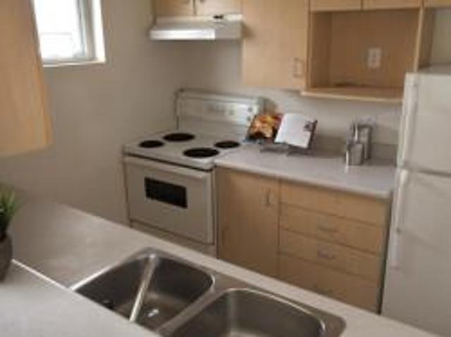 For Rent 1 Bedroom Apartment Langley BC DS103011359