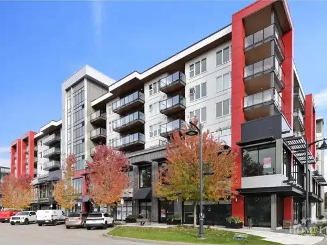 For Rent 1 Bedroom Apartment Langley BC DS103355391