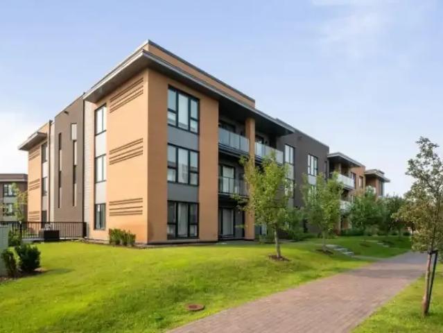 For Rent 1 Bedroom Apartment Lasalle QC DLS98317335
