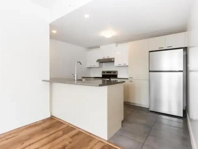 For Rent 1 Bedroom Apartment Laval QC DS104362545