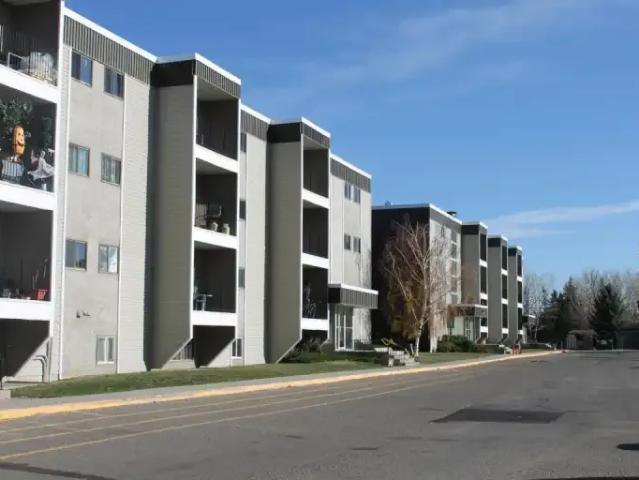 For Rent 1 Bedroom Apartment Lethbridge AB DLS97906163