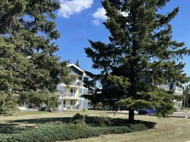 For Rent 1 Bedroom Apartment Lloydminster AB DS104506280