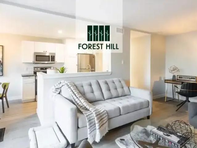 For Rent 1 Bedroom Apartment London ON DLS98363166