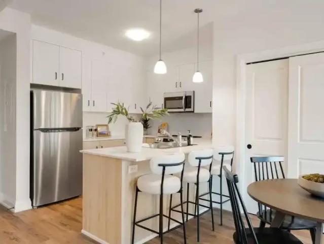 For Rent 1 Bedroom Apartment London ON DLS98375694