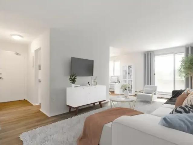 For Rent 1 Bedroom Apartment London ON DS100119726