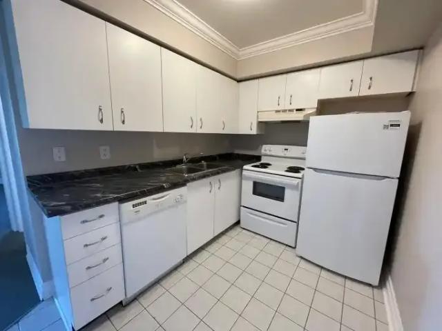 For Rent 1 Bedroom Apartment London ON DS101339241