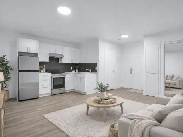 For Rent 1 Bedroom Apartment London ON DS101687302