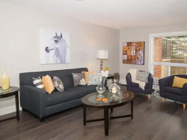 For Rent 1 Bedroom Apartment London ON DS101947650