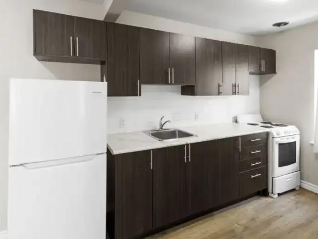 For Rent 1 Bedroom Apartment London ON DS102751734