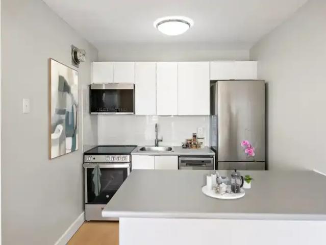For Rent 1 Bedroom Apartment London ON DS102845929