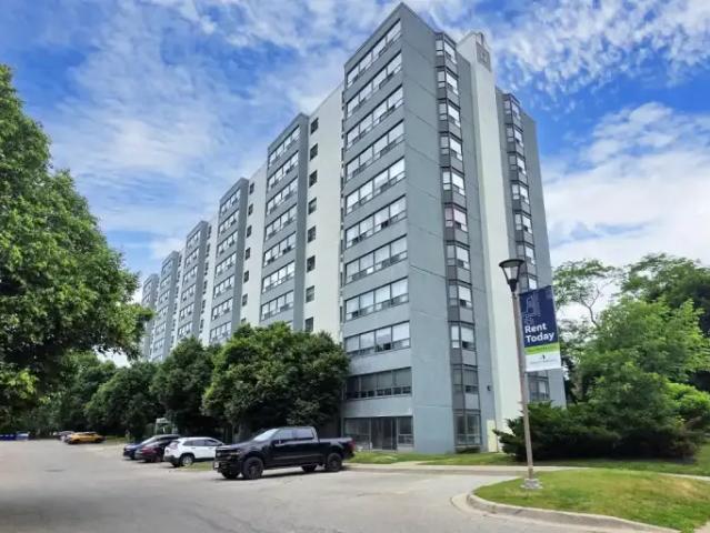For Rent 1 Bedroom Apartment London ON DS103030554