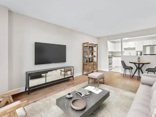 For Rent 1 Bedroom Apartment London ON DS103593451