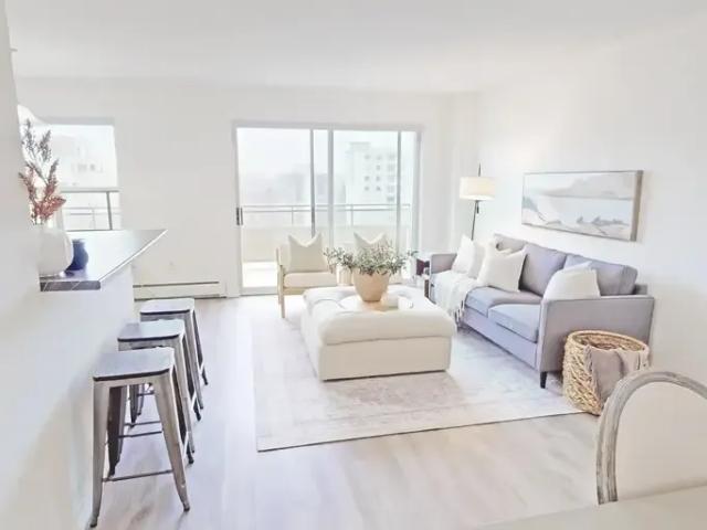 For Rent 1 Bedroom Apartment London ON DS94008268