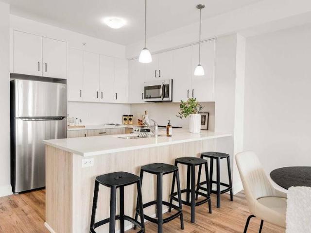 For Rent 1 Bedroom Apartment London ON DS98313606