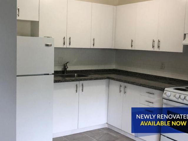 For Rent 1 Bedroom Apartment Pelham ON DLS98311211
