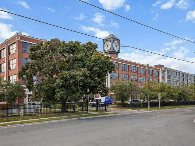 For Rent 1 Bedroom Apartment Peterborough ON DLS91916924