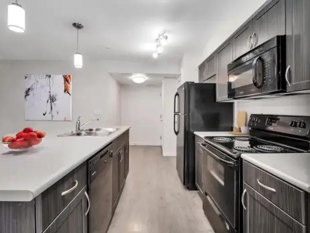 For Rent 1 Bedroom Apartment Regina SK DS103593649