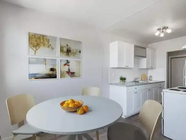For Rent 1 Bedroom Apartment Regina SK DS104840243