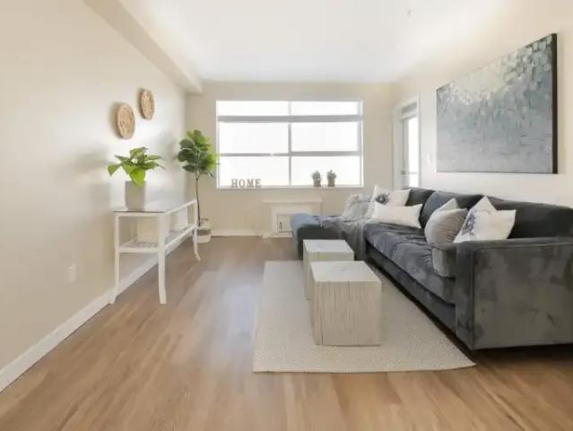 For Rent 1 Bedroom Apartment Red Deer AB DLS101825528