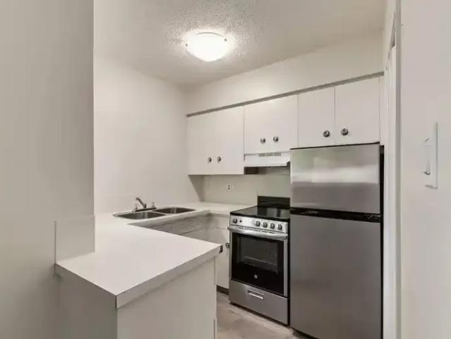 For Rent 1 Bedroom Apartment Red Deer AB DLS103010787