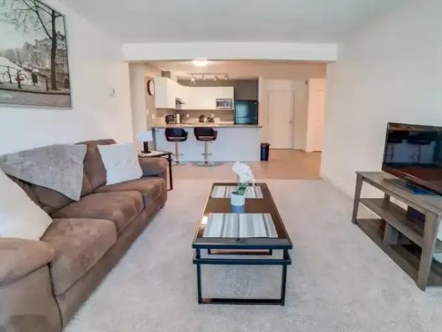 For Rent 1 Bedroom Apartment Red Deer AB DS103878740