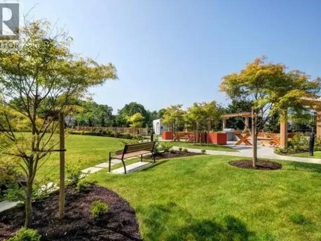 For Rent 1 Bedroom Apartment Richmond BC DLS101687828