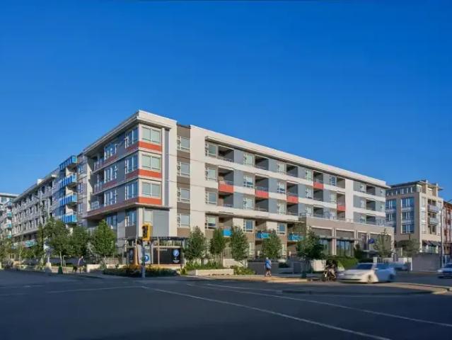 For Rent 1 Bedroom Apartment Richmond BC DLS103030647