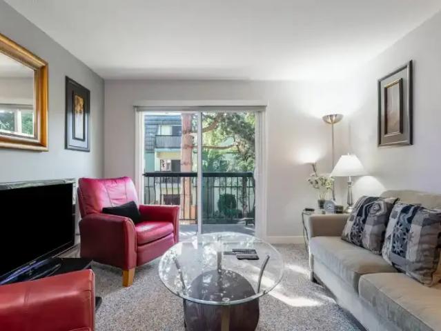 For Rent 1 Bedroom Apartment Richmond BC DS104140822